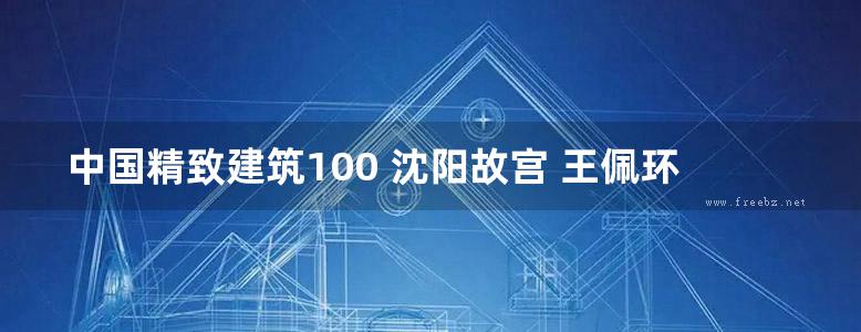 中国精致建筑100 沈阳故宫 王佩环